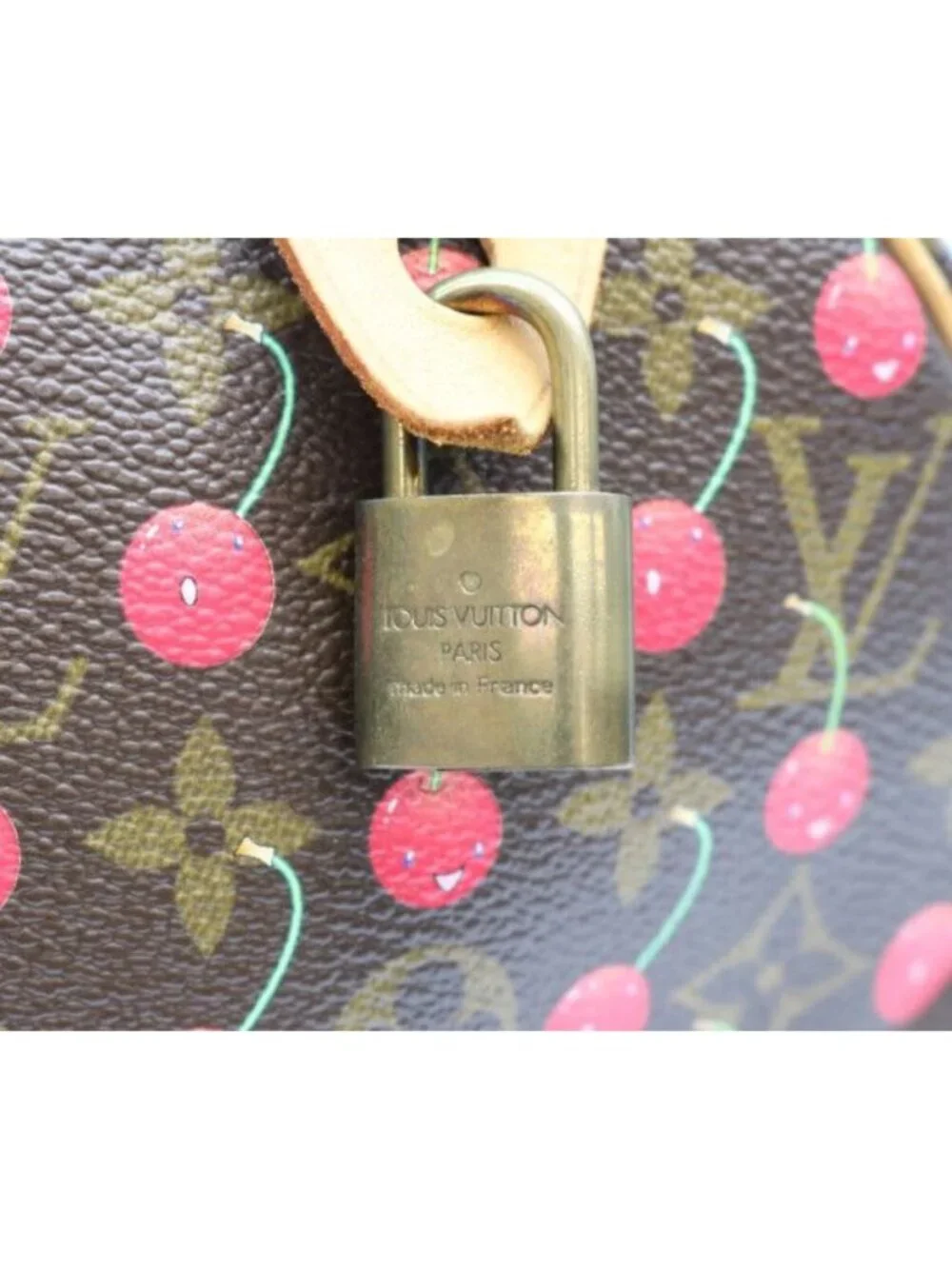 Louis Vuitton Monogram Cherry Speedy 25 Handbag